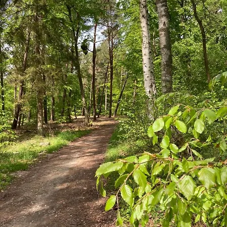Bursztyn Деревянный коттедж Вице