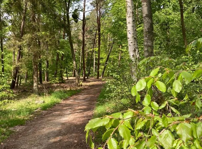 Bursztyn Lodge Wicie (West Pomeranian)